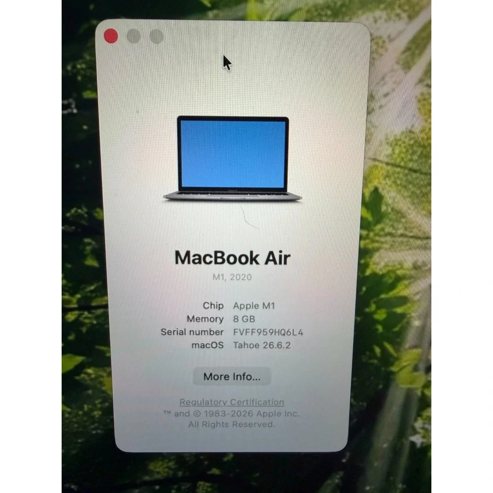 Apple silver 13